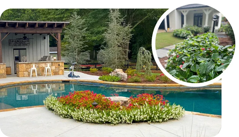 landscaping around pool and house